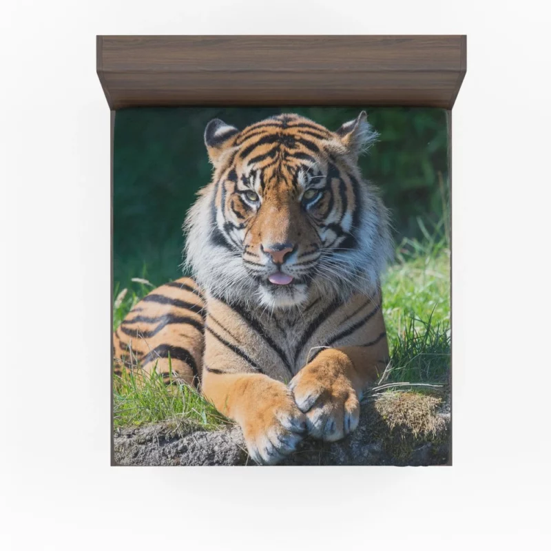 Tiger Penetrating Gaze Enigmatic Beauty Fitted Sheet 1