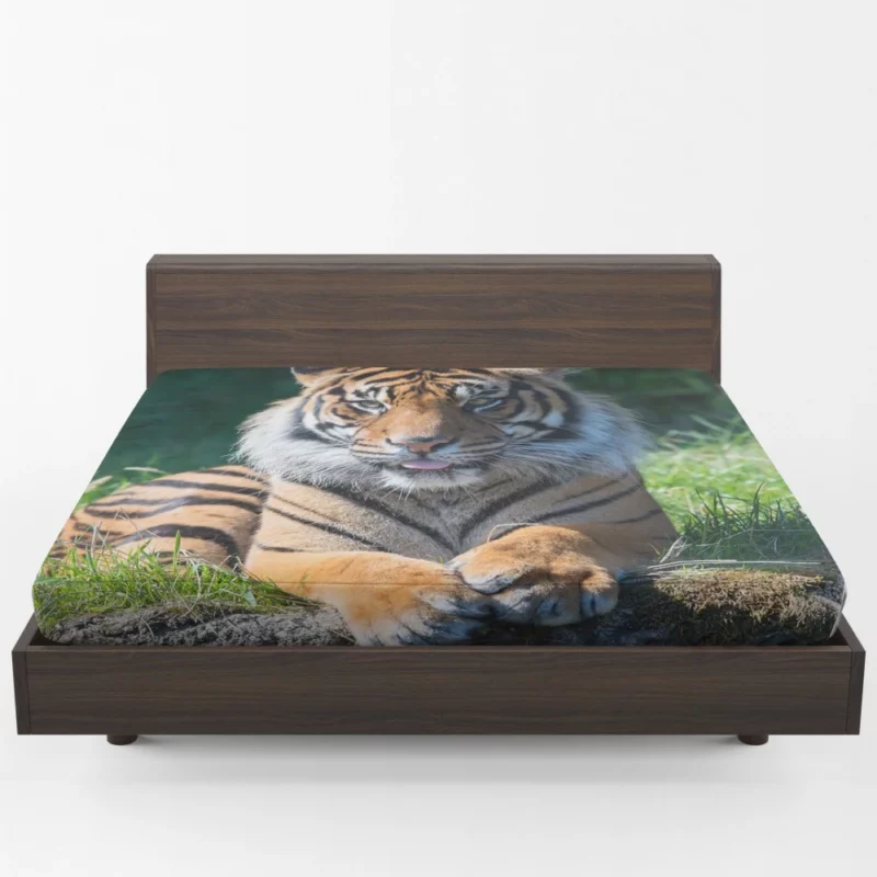 Tiger Penetrating Gaze Enigmatic Beauty Fitted Sheet