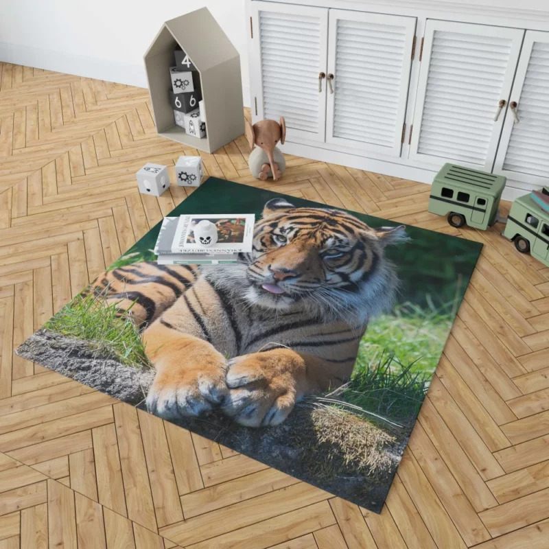 Tiger Penetrating Gaze Enigmatic Beauty Rug 1