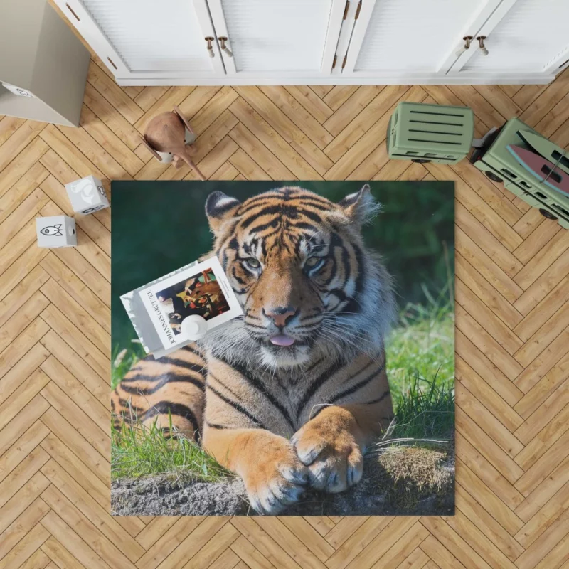 Tiger Penetrating Gaze Enigmatic Beauty Rug