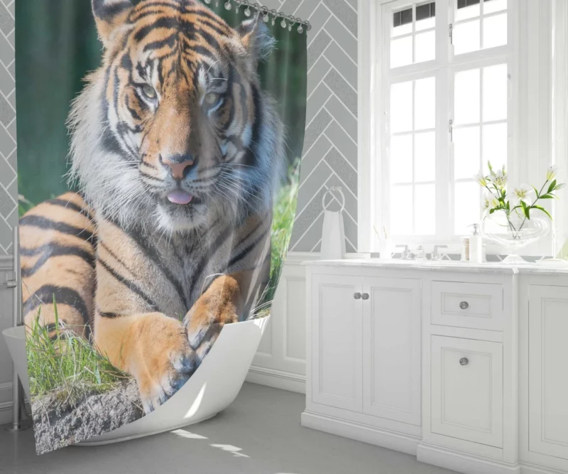 Tiger Penetrating Gaze Enigmatic Beauty Shower Curtain 1