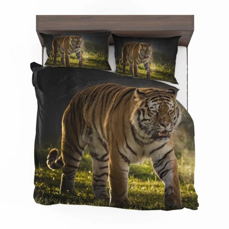 Tiger Prowl Enigmatic Majesty Bedding Set 1