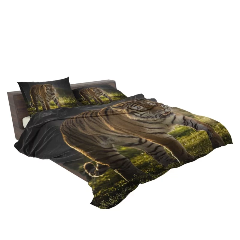 Tiger Prowl Enigmatic Majesty Bedding Set 2