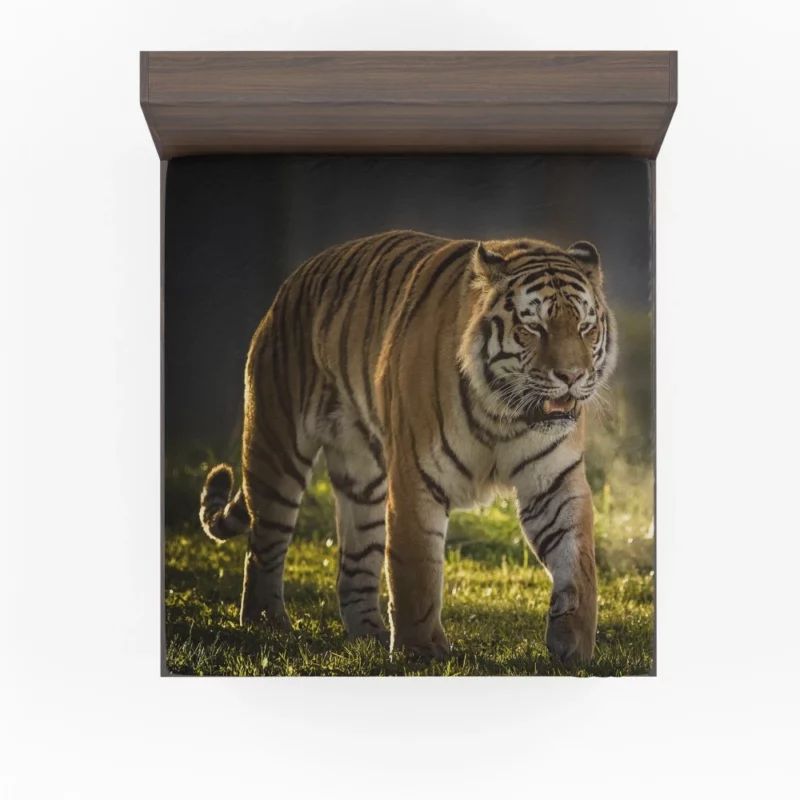 Tiger Prowl Enigmatic Majesty Fitted Sheet 1