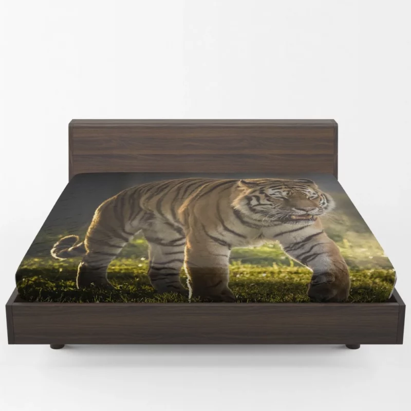 Tiger Prowl Enigmatic Majesty Fitted Sheet