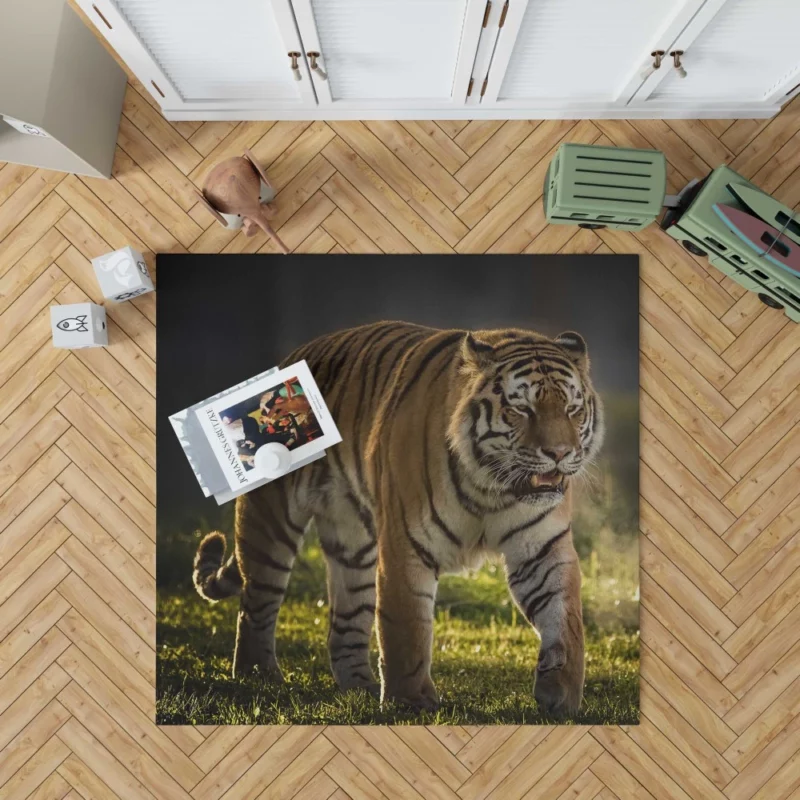 Tiger Prowl Enigmatic Majesty Rug