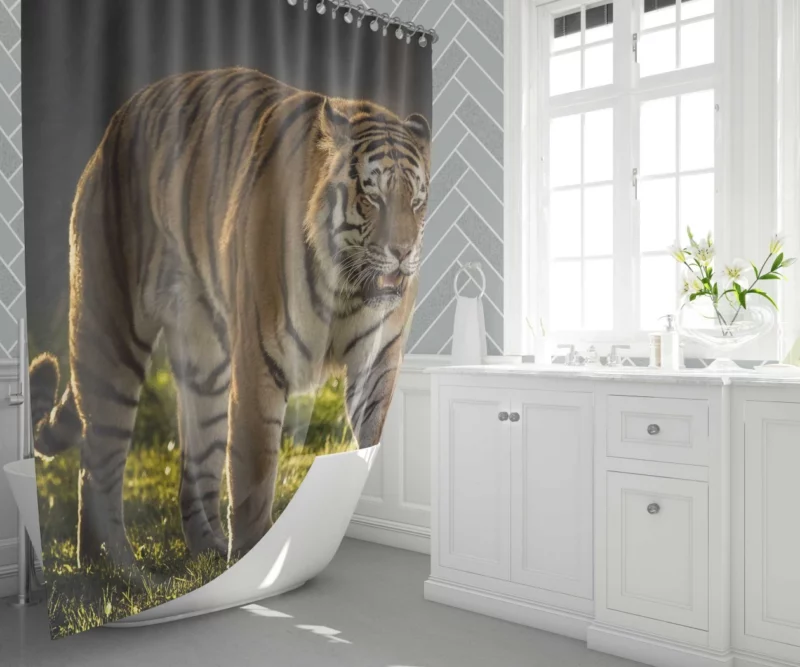 Tiger Prowl Enigmatic Majesty Shower Curtain 1