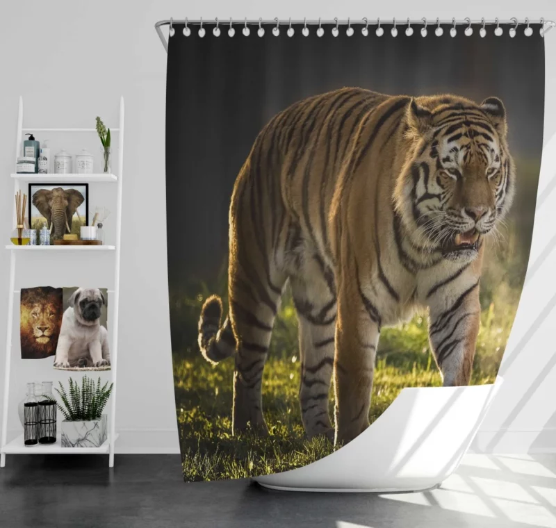 Tiger Prowl Enigmatic Majesty Shower Curtain