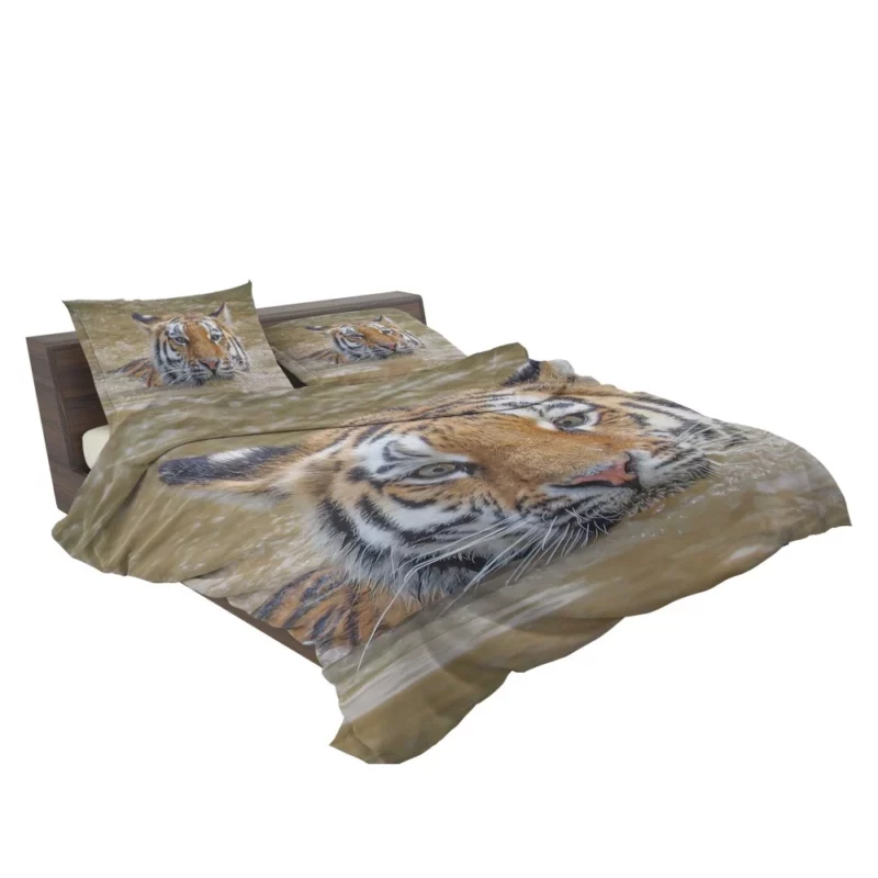 Tiger Reflective Stare Enigmatic Wonder Bedding Set 2