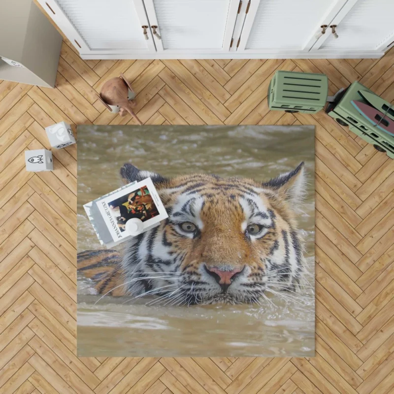 Tiger Reflective Stare Enigmatic Wonder Rug