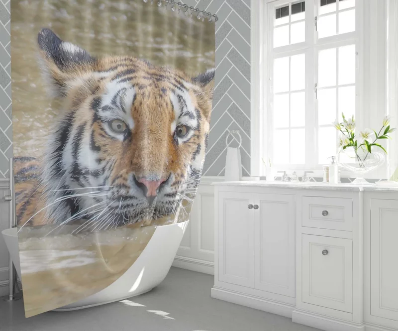 Tiger Reflective Stare Enigmatic Wonder Shower Curtain 1