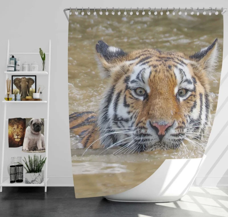 Tiger Reflective Stare Enigmatic Wonder Shower Curtain