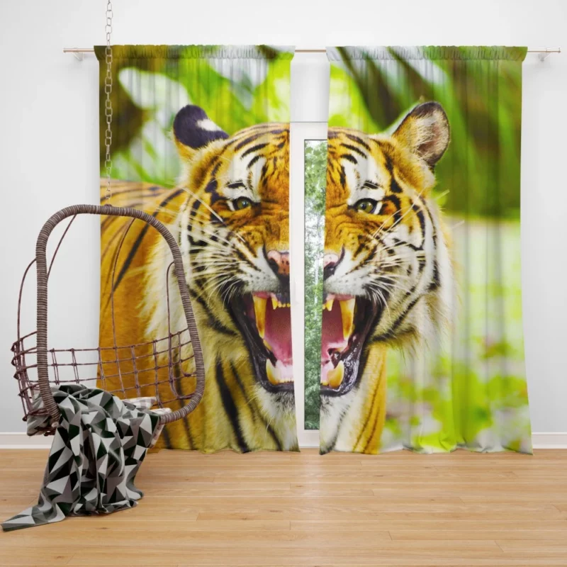 Tiger Regal Majesty Curtain