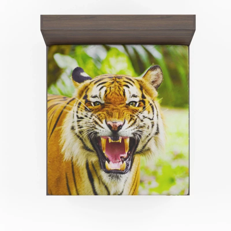 Tiger Regal Majesty Fitted Sheet 1