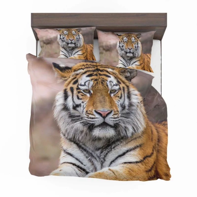 Tiger Regal Stance Wilderness Dominance Bedding Set 1