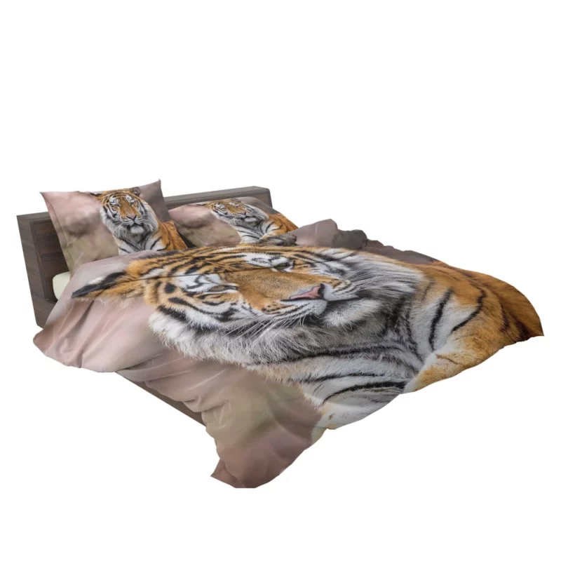 Tiger Regal Stance Wilderness Dominance Bedding Set 2