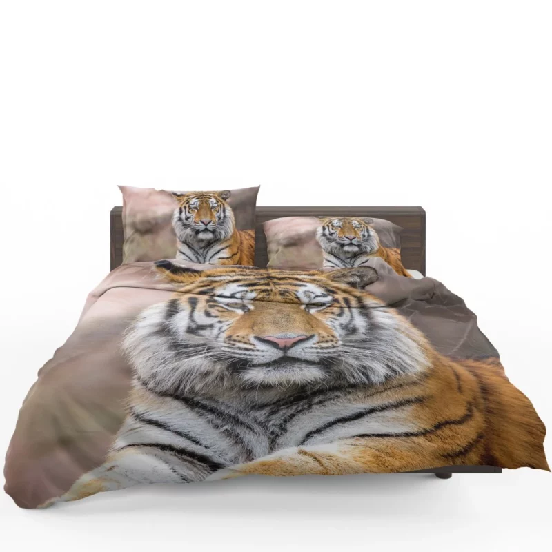 Tiger Regal Stance Wilderness Dominance Bedding Set