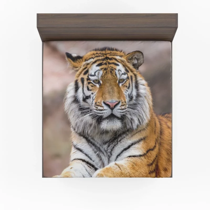 Tiger Regal Stance Wilderness Dominance Fitted Sheet 1