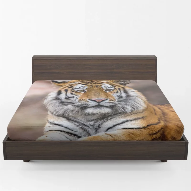 Tiger Regal Stance Wilderness Dominance Fitted Sheet