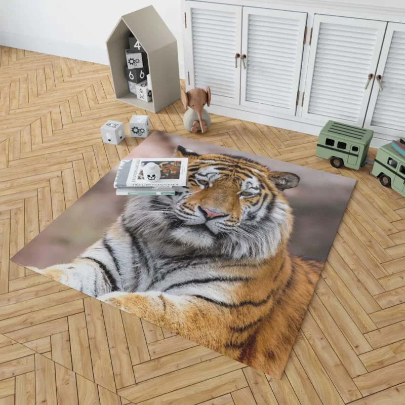 Tiger Regal Stance Wilderness Dominance Rug 1