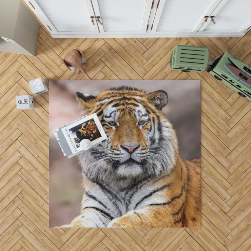 Tiger Regal Stance Wilderness Dominance Rug