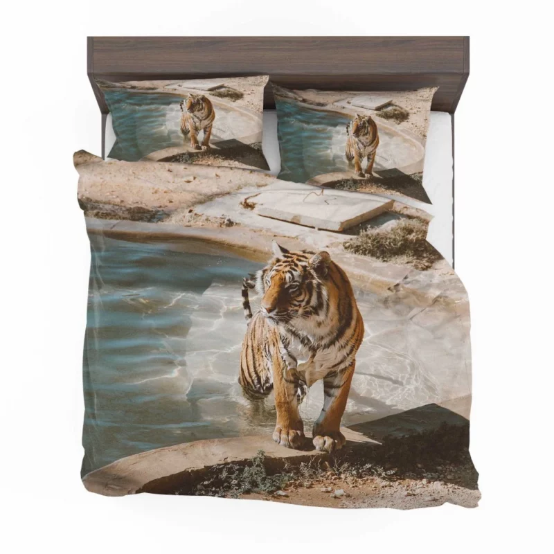 Tiger Relaxation Poolside Serenity Bedding Set 1