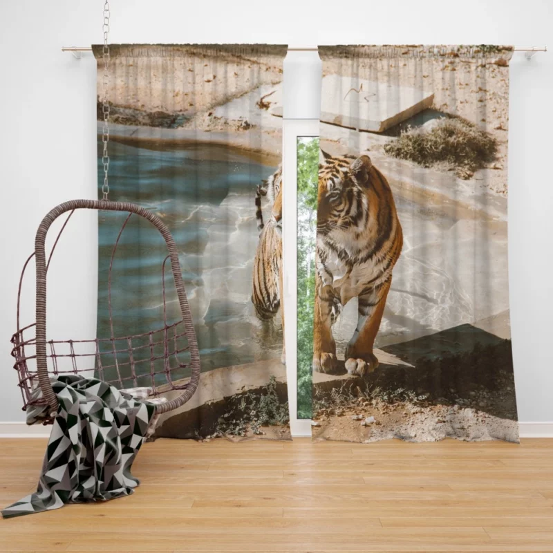 Tiger Relaxation Poolside Serenity Curtain