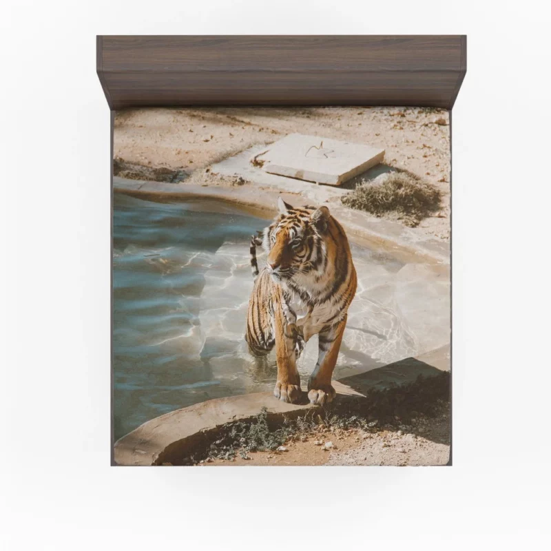 Tiger Relaxation Poolside Serenity Fitted Sheet 1