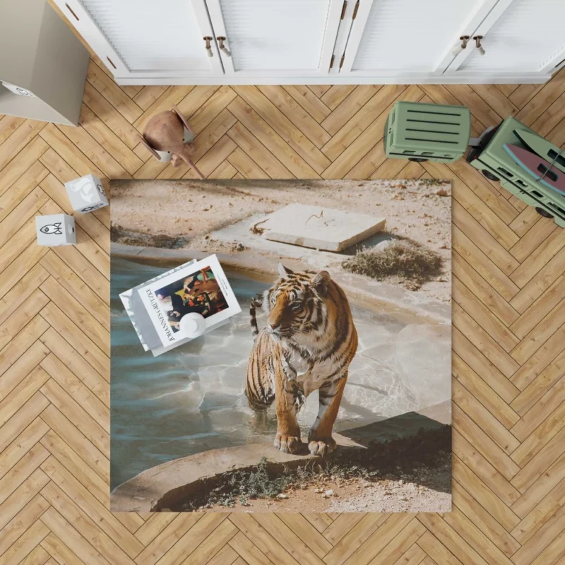 Tiger Relaxation Poolside Serenity Rug