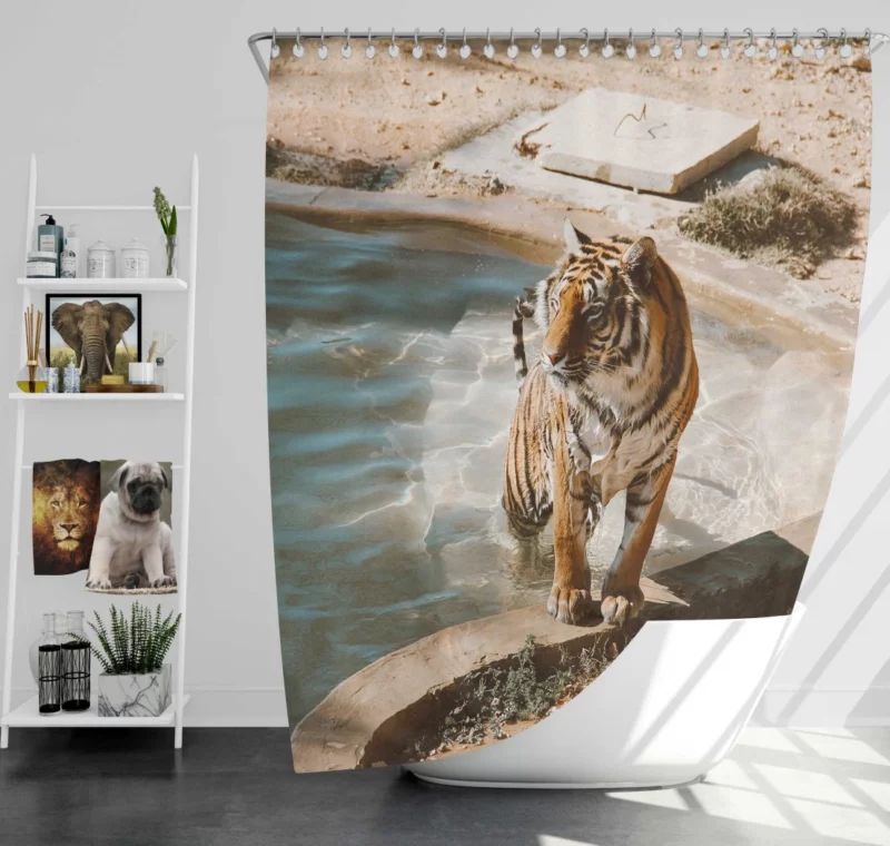 Tiger Relaxation Poolside Serenity Shower Curtain