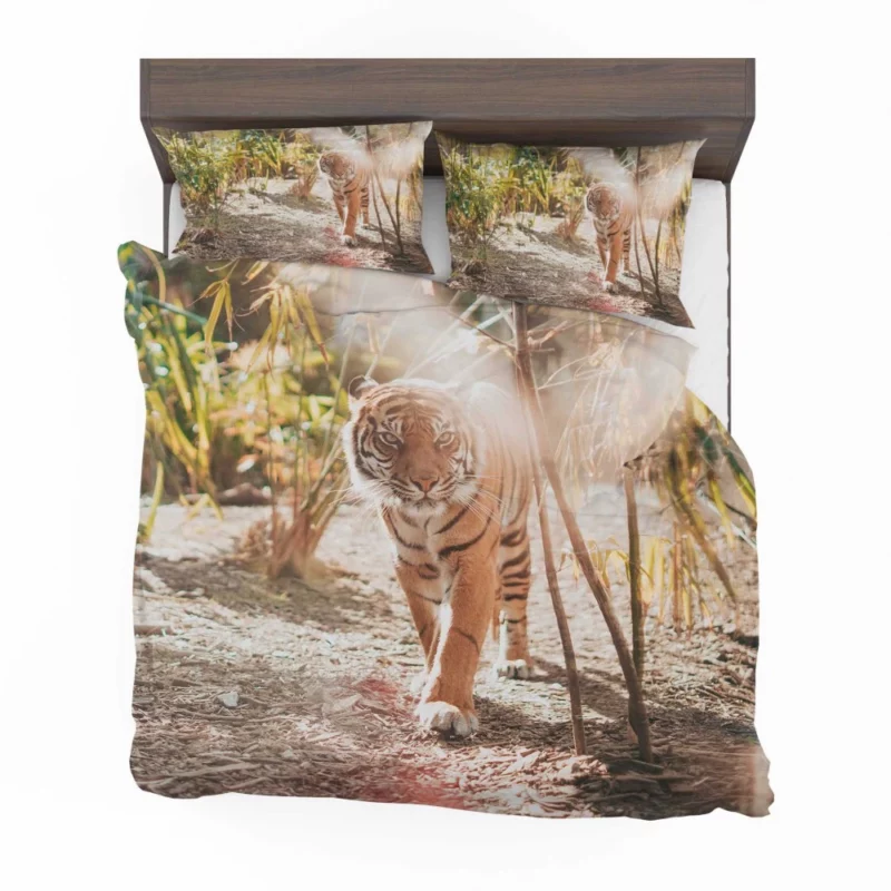 Tiger Resilient Bedding Set 1