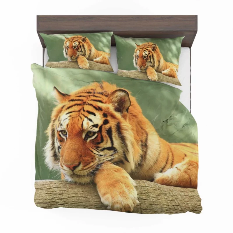 Tiger Rest A Moment of Tranquility Bedding Set 1