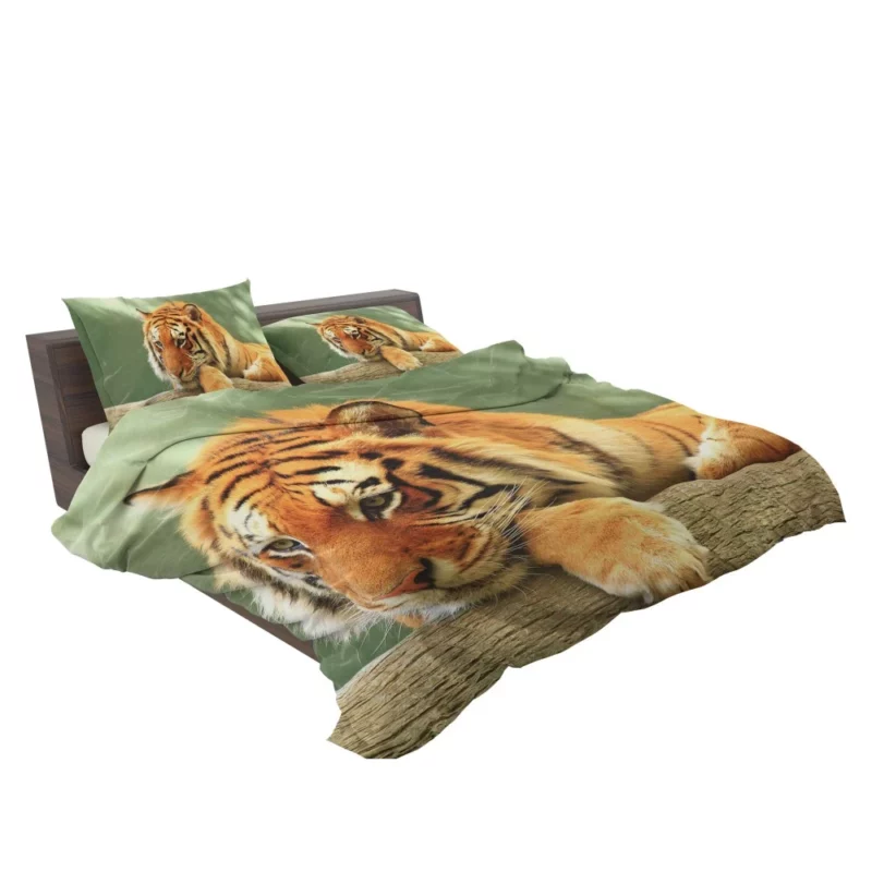 Tiger Rest A Moment of Tranquility Bedding Set 2