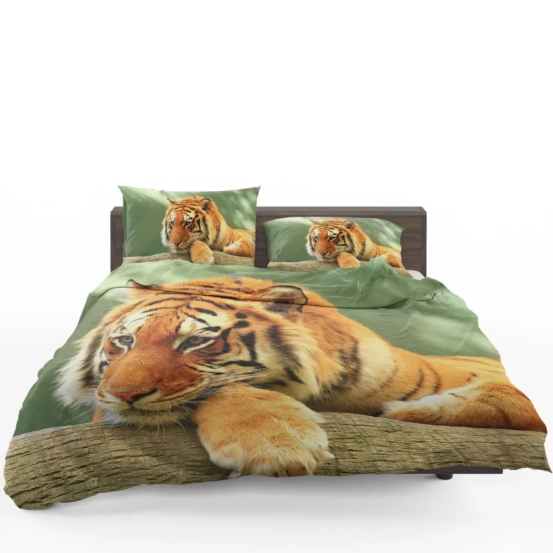 Tiger Rest A Moment of Tranquility Bedding Set