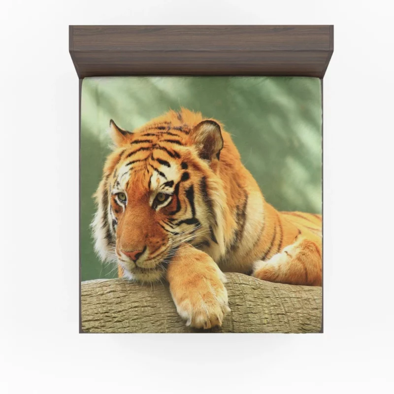 Tiger Rest A Moment of Tranquility Fitted Sheet 1