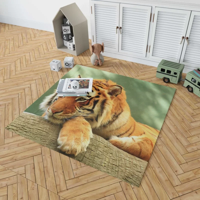 Tiger Rest A Moment of Tranquility Rug 1