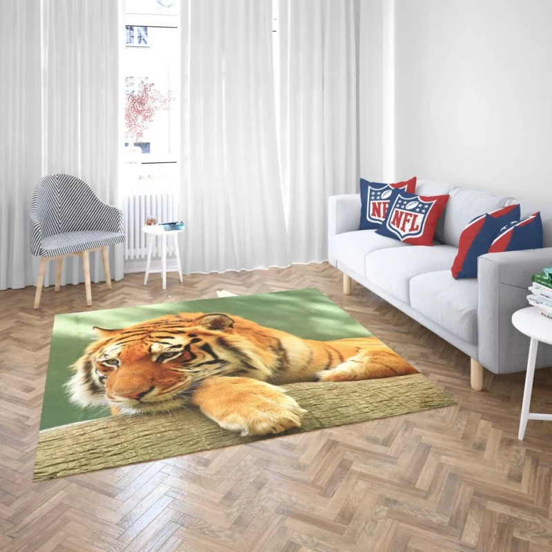 Tiger Rest A Moment of Tranquility Rug 2