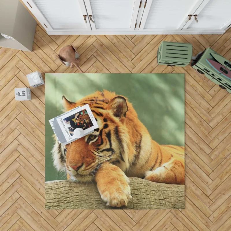 Tiger Rest A Moment of Tranquility Rug