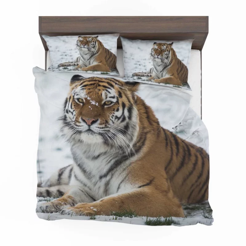 Tiger Roaming Bedding Set 1