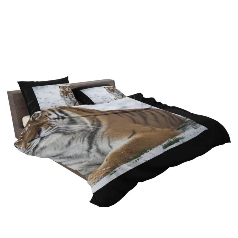 Tiger Roaming Bedding Set 2