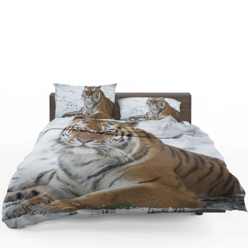 Tiger Roaming Bedding Set