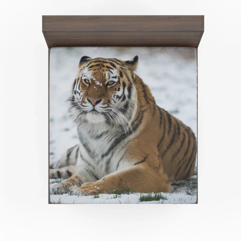 Tiger Roaming Fitted Sheet 1