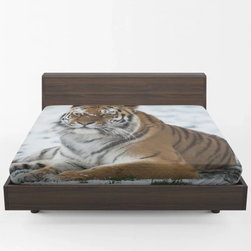 Tiger Roaming Fitted Sheet