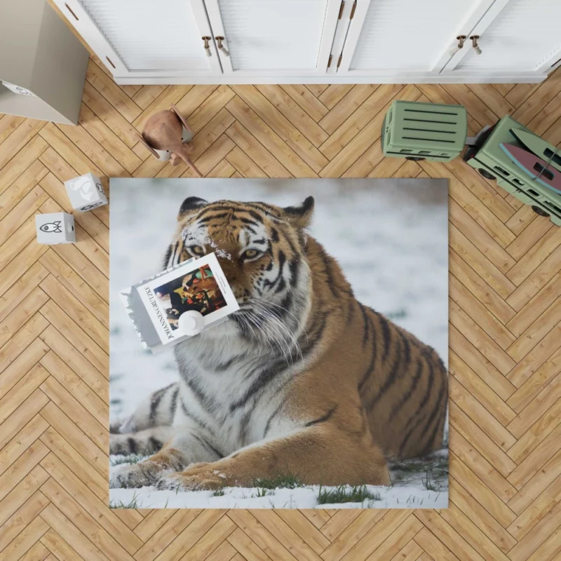 Tiger Roaming Rug