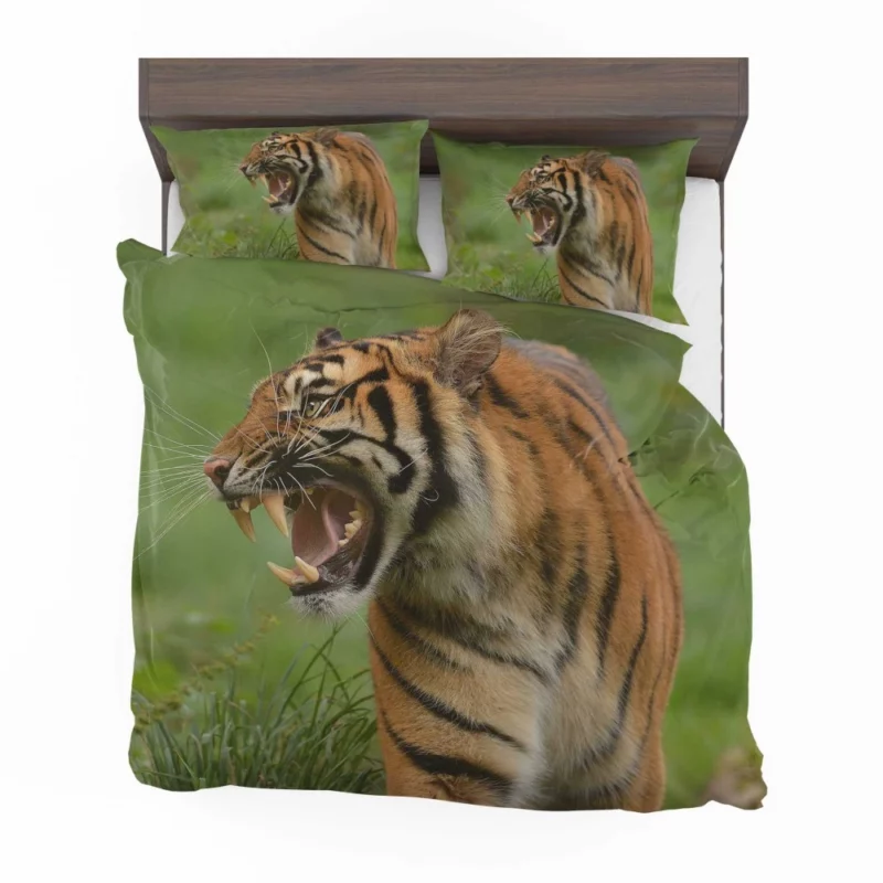 Tiger Roar Wilderness Dominance Bedding Set 1