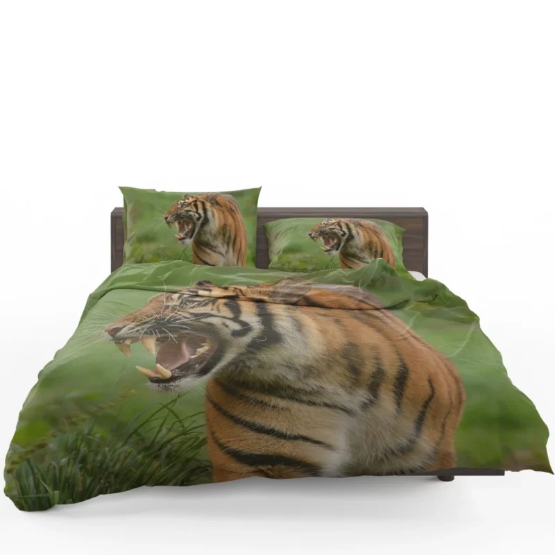 Tiger Roar Wilderness Dominance Bedding Set