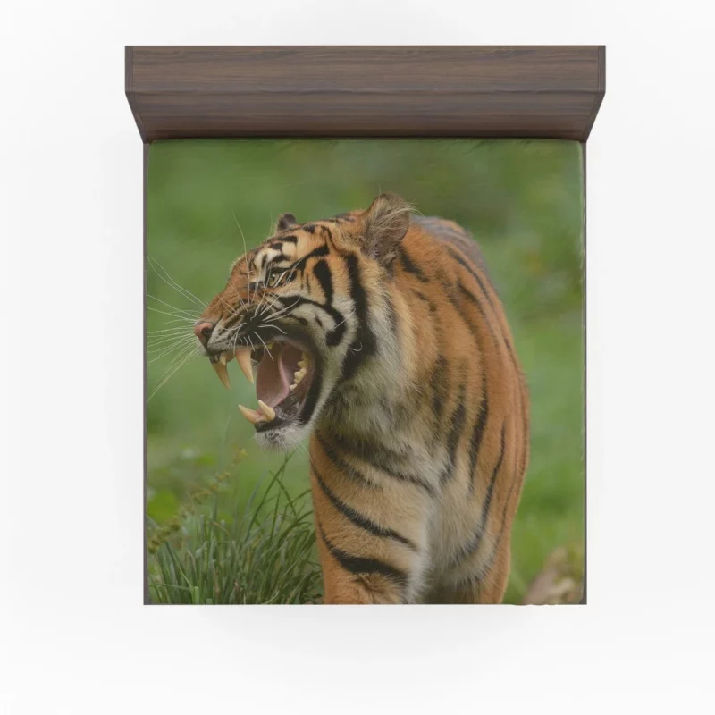 Tiger Roar Wilderness Dominance Fitted Sheet 1