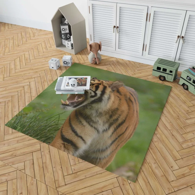 Tiger Roar Wilderness Dominance Rug 1