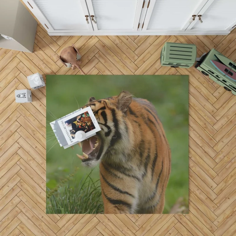 Tiger Roar Wilderness Dominance Rug