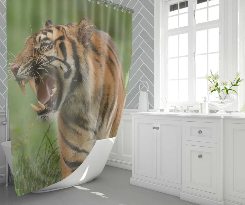 Tiger Roar Wilderness Dominance Shower Curtain 1